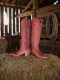 Nalejandra Boots in Pink - barn view