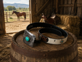 Klepto Hand-Tooled Concho Women's Belt - lifestyle shot on barrel with horse and barn in background